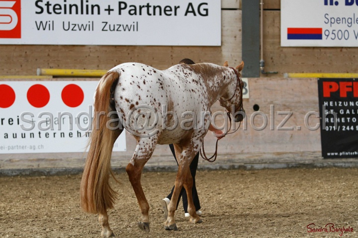 24-ApHC HIH_047.jpg
